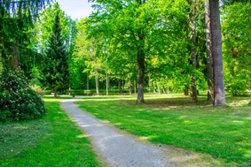 Revitalization of the park in THERMAL SPA
