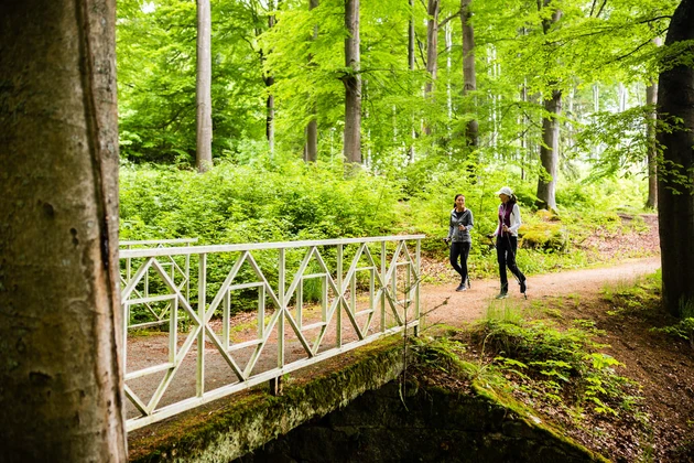 Turistika a kultura v Mariánských Lázních