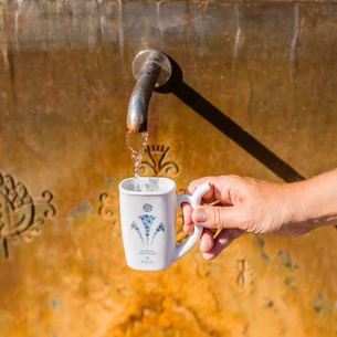 Záněty ledvin se nevyplácí podceňovat, pomohou Mariánské Lázně