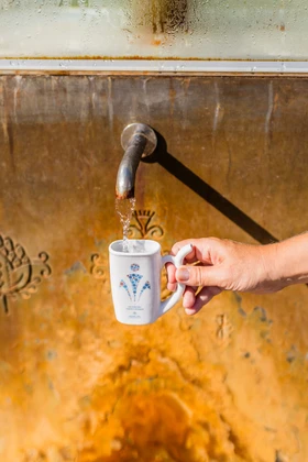 Záněty ledvin se nevyplácí podceňovat, pomohou Mariánské Lázně