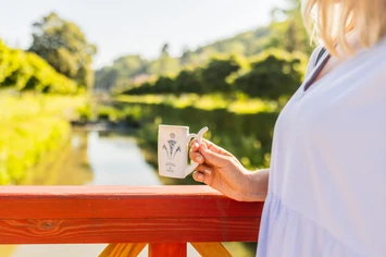 Therapeutic springs in MIRAMARE Spa Hotels