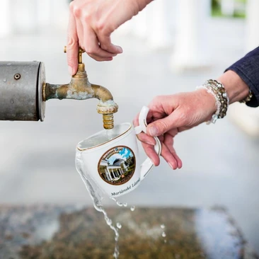 Natural healing resources