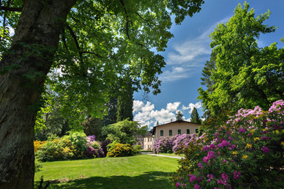 THERMAL SPA Velké Losiny