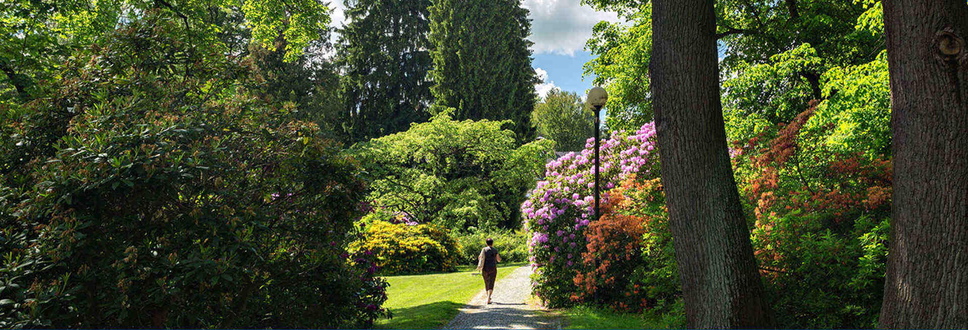 Lázeňský park - TERMÁLNÍ LÁZNĚ Velké Losiny